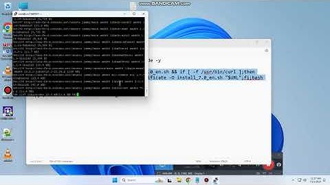 VPS Hosting Made Simple: AApanel Installation on Ubuntu 22.04