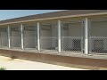 Changes coming to Douglas Co. Animal Shelter amid renovations