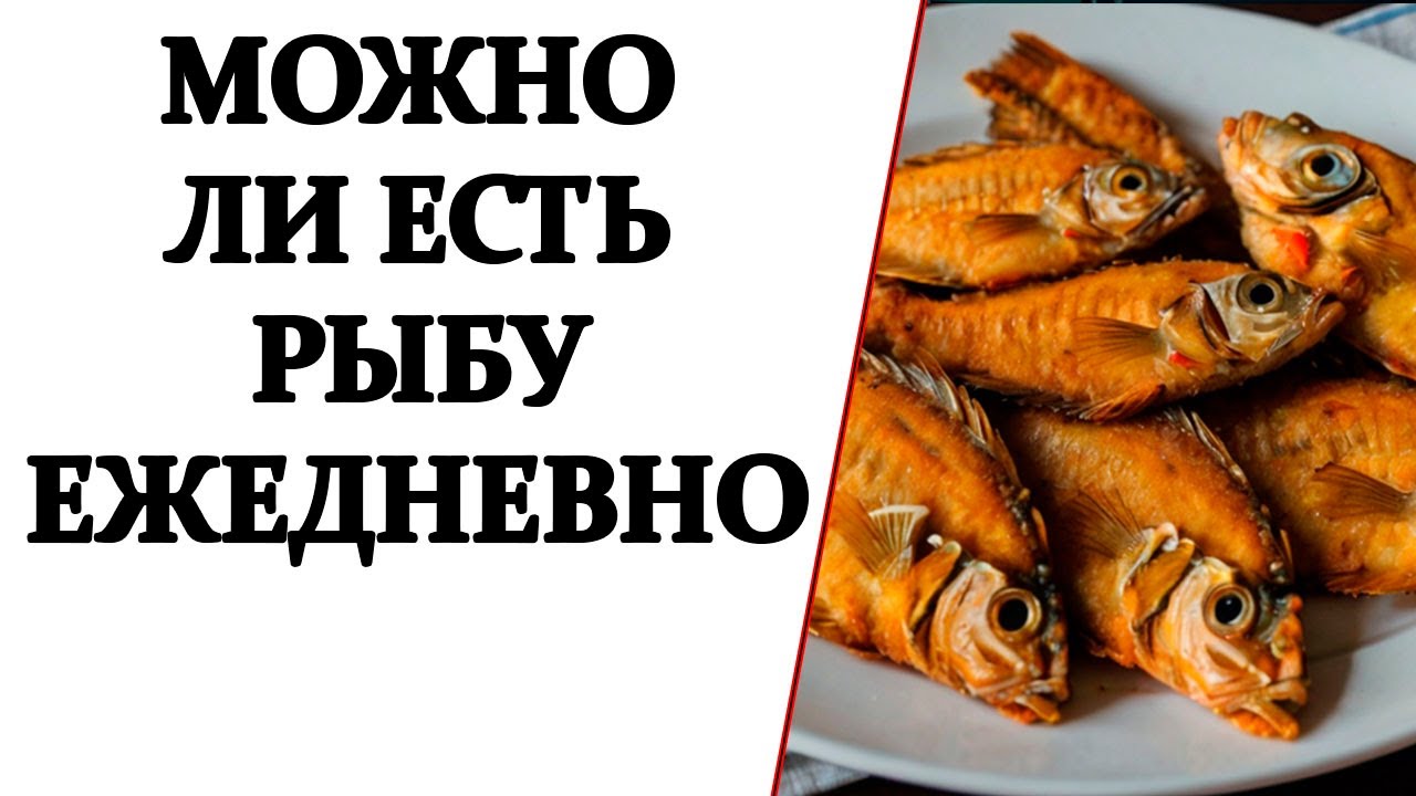 Ежедневное употребление рыбы: польза или вред?