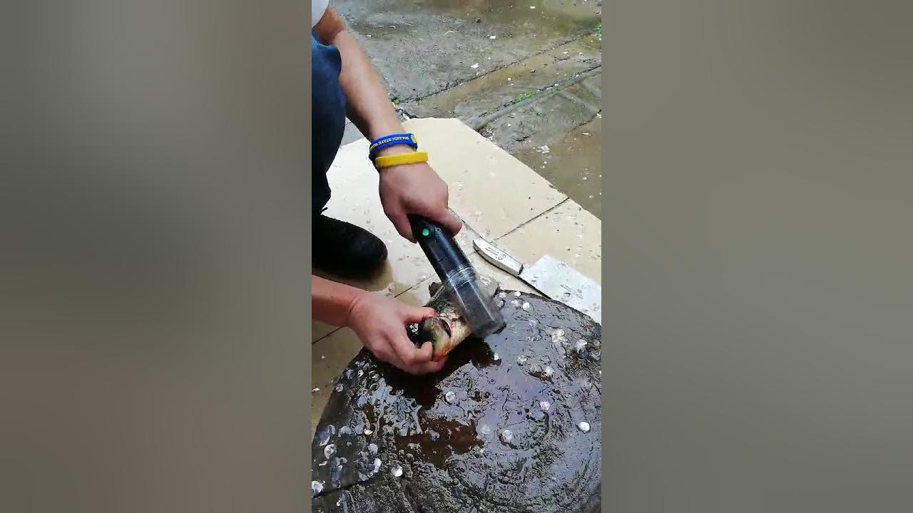 NEW ! ! ! Electric Fish Scaler YouTube