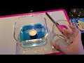 Gas Laws Demonstration 2