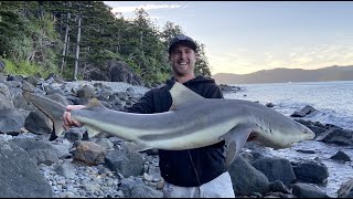 Shark fishing Australia, Whitsundays (Hamilton Island) 2021