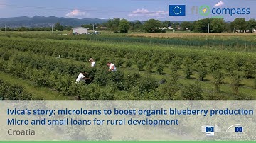 Ivica’s story: microloans to boost organic blueberry production