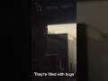 No drugs for this guy. Just carnie games. Pt. 2