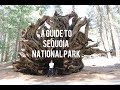 A Guide to Sequoia National Park