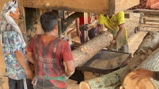 Revolutionizing Wood Processing The Role of Sawing Machines in Sawing Mills