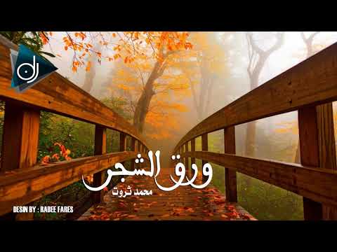 حبيبي قلل قسوتك ورق الشجر محمد ثروت