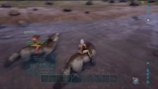 Bunch of dirty cheaters; Ark!