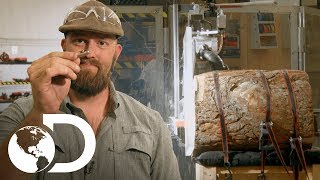 Tiro al árbol | Mythbusters: Los cazadores de mitos | Discovery Latinoamérica