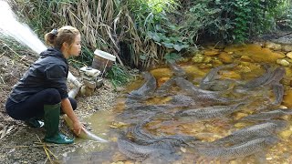 Unique Way Of Catching Fish: Pump Fishing Technique - Survival Skills - Catch A Lot Of Fish