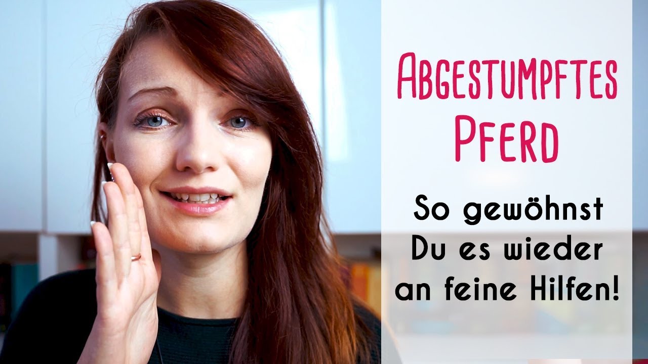 Abgestumpftes Pferd So Gewohnst Du Es Wieder An Feine Hilfen Youtube