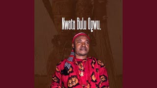 Nwata Bulu Ogwu