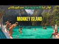 Monkey Island Thailand 🐒 | A Hidden Paradise You Must Visit in 2025