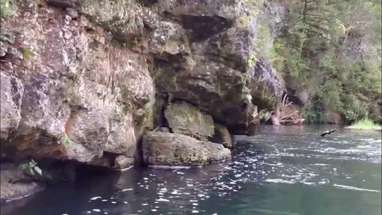 Current River Kayaking. Baptist Camp to Akers Ferry MIssouri YouTube