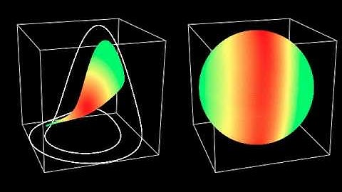 Supplemental movie 4 of Shimada, Yamada and Ikeguchi