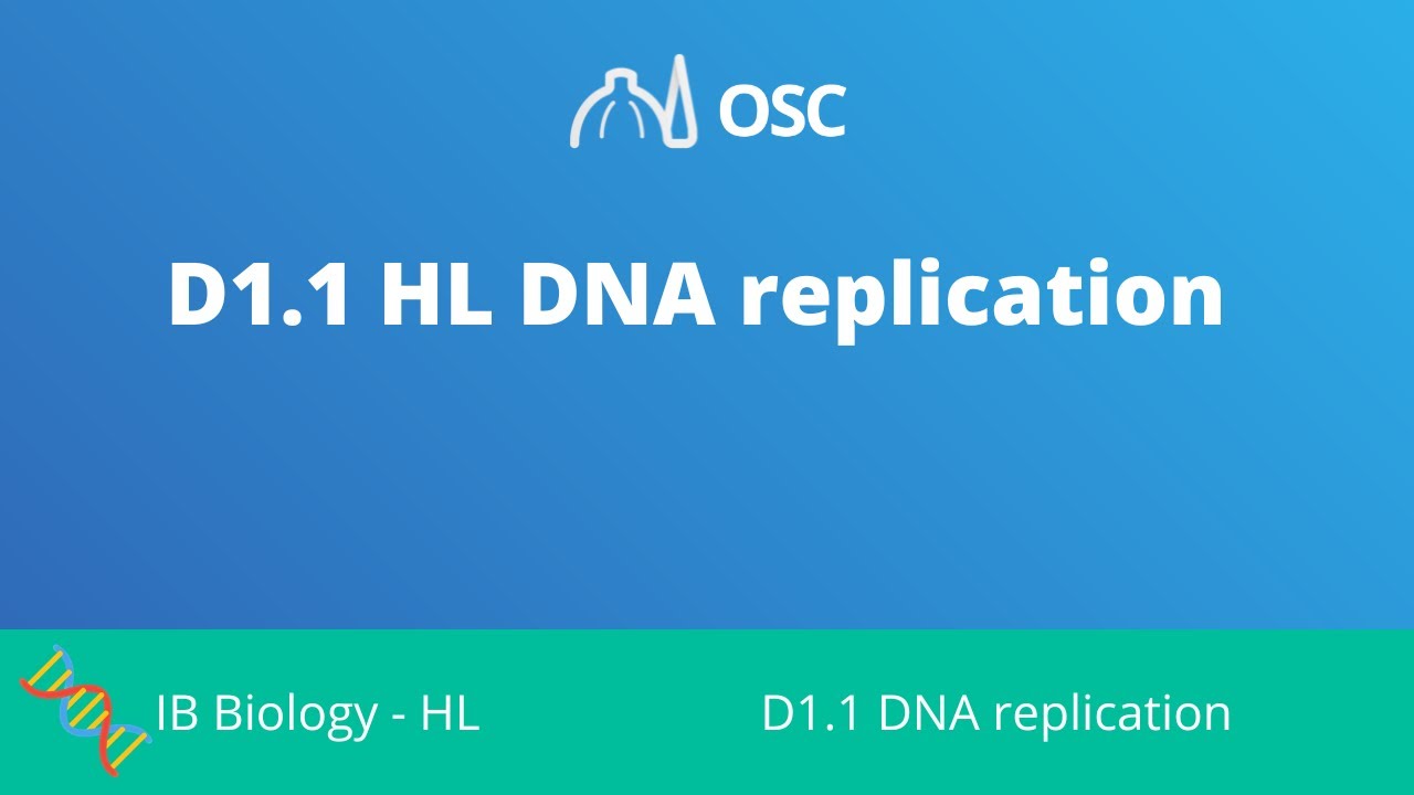 D1.1 HL DNA Replication [IB Biology HL]