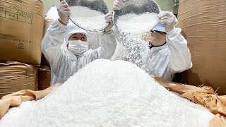 Amazing natural salt production process at the largest salt factory in korea - Korean food factory