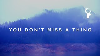 Video thumbnail of "You Don't Miss A Thing (Official Lyric Video) - Amanda Cook | We Will Not Be Shaken"