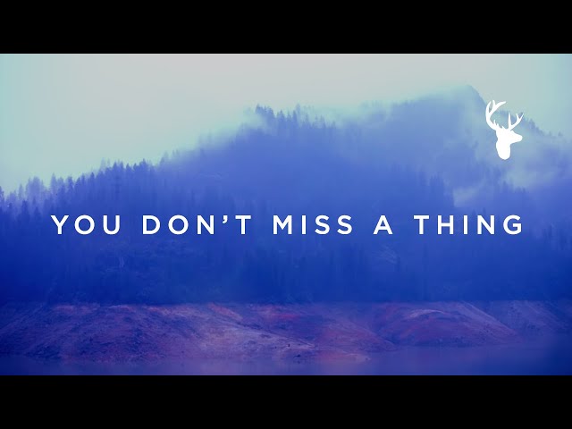 You Don't Miss A Thing (Official Lyric Video) - Amanda Cook | We Will Not Be Shaken class=