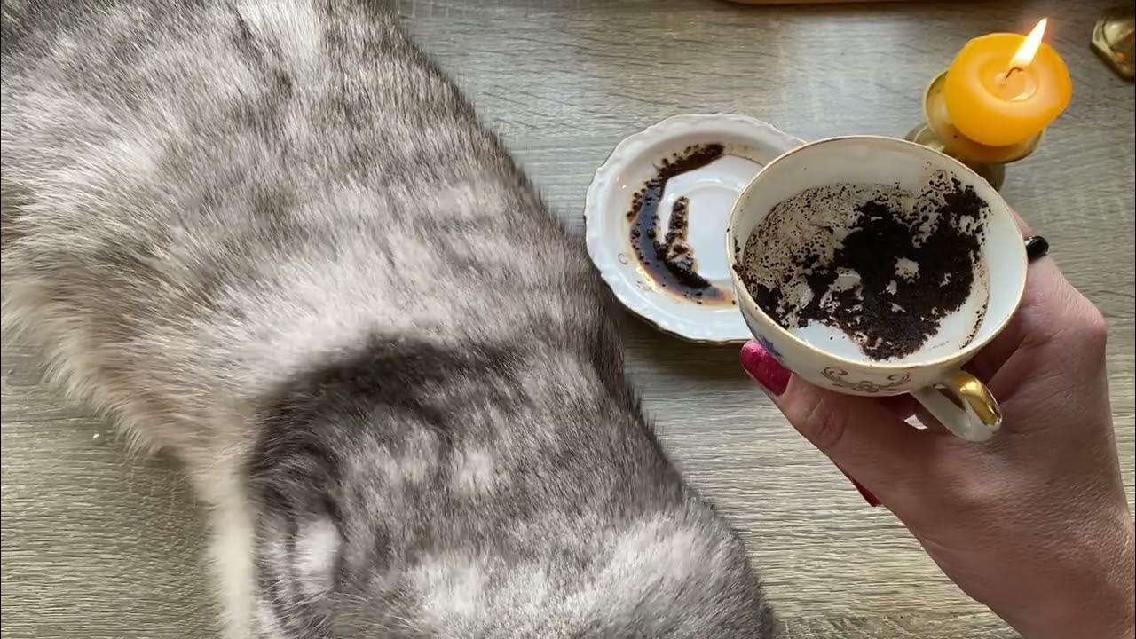 Чашка дня! Кофейные подсказки ☕️ - YouTube