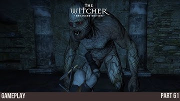 CRYPT IN THE FIELDS | The Witcher: Enhanced Edition | Gameplay (Part 61)