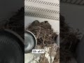 4 New Tenants 4 New Tenants