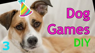 Fun Indoor Games To Play With Dogs ~ Hide And Seek  ~ Brain Games For Dogs