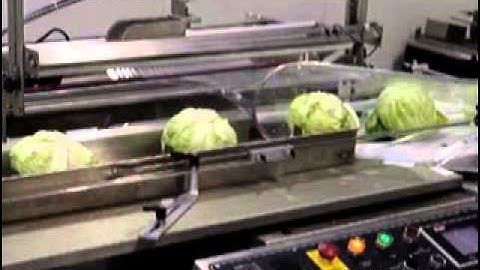 Shanklin F5-ADA Shrink Wrapping Cabbage | ProPac.com