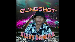 SLINGSHOT - ALLDY DAMULA (DuckaShan) 2020