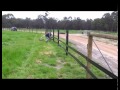 Complete Horserail Installation Complete Horserail Installation
