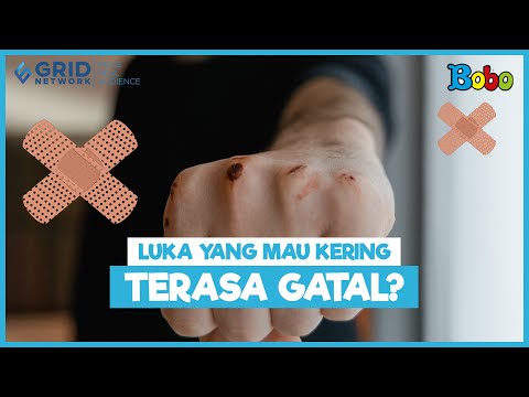 Video: Adakah luka yang dijangkiti gatal?