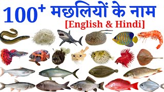 100 Fish Name in Hindi & English|  Fish Name|मछलियों के नाम |Indian fish names in hindi and english