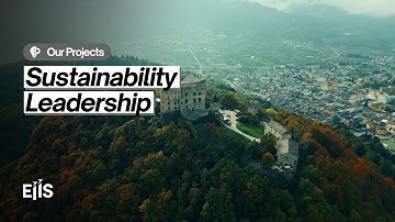 Turning Sustainability Into a Strategic Advantage