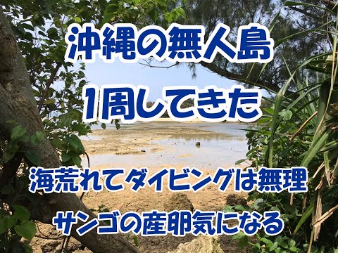 恩納村にある無人島 秘密のシュノーケルポイント