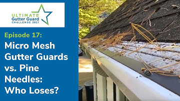 Micro Mesh Gutter Guards vs. Pine Needles: Who loses? [S1 E17]