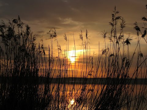 «Шумел камыш, деревья гнулись» (русская народная песня) Любовь Полищук, Елена Фролова