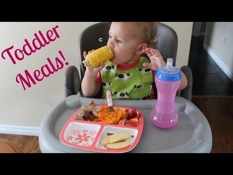 toddler-meals-|-what-i-feed-my-19-month-old