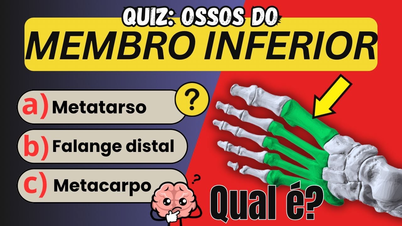 Quiz: Todos os Ossos do Membro Inferior 🦴🦵 | Quiz de Anatomia