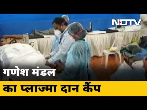 लाल बाग का राजा मंडल ने नहीं की मूर्ति स्थापना, लगाया Plasma Donation Camp