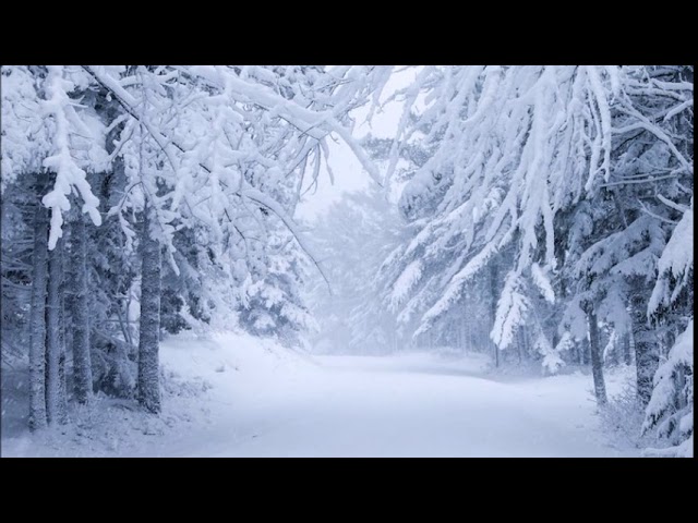 Slavko Avsenik - Wintermärchen