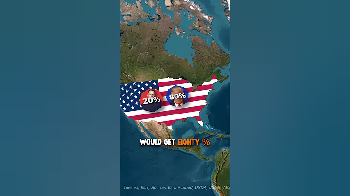 What If Elon Musk Became The President Of The US?