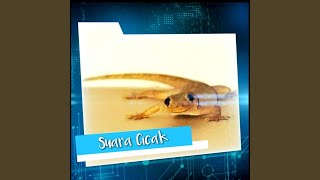 Suara Cicak