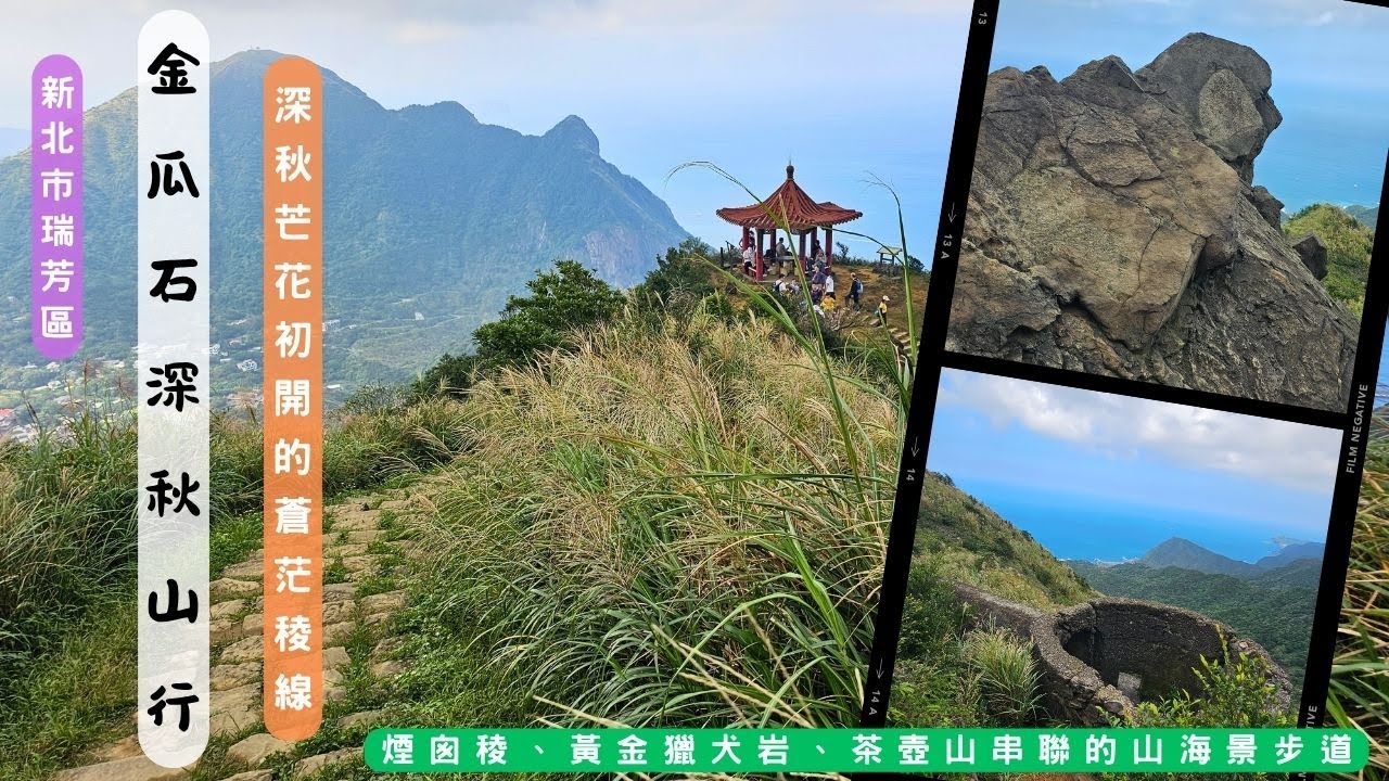 【新北市瑞芳區】金瓜石深秋山行｜煙囪稜、黃金獵犬岩、茶壺山串聯的山海景步道｜芒花季