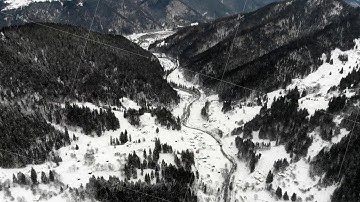 Aerial - Top down view of empty road between the snowy pine trees