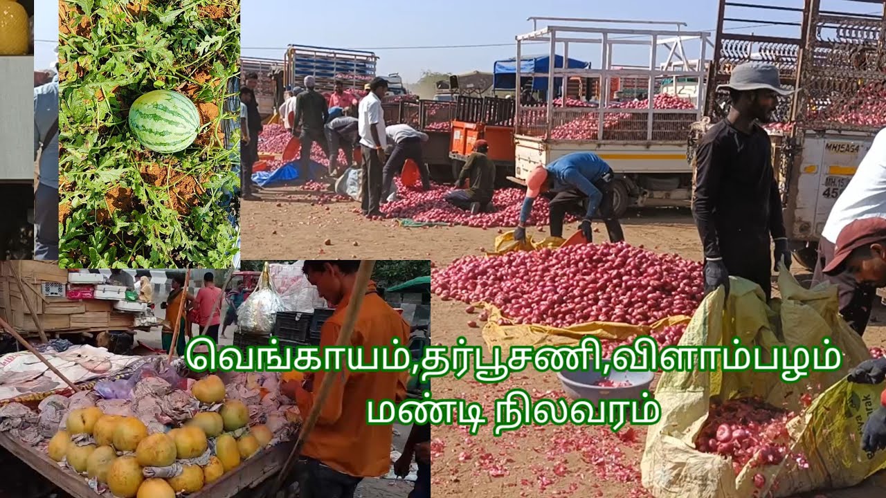 @deejayfarming8335  வெங்காயம், தர்பூசணி, மண்டி விலை