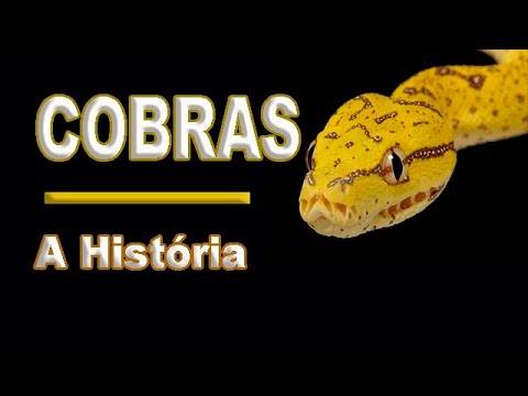 Serpentes, #Cobras, a história