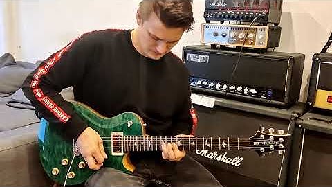 Alter Bridge - Bleed It Dry (Guitar Solo Cover)