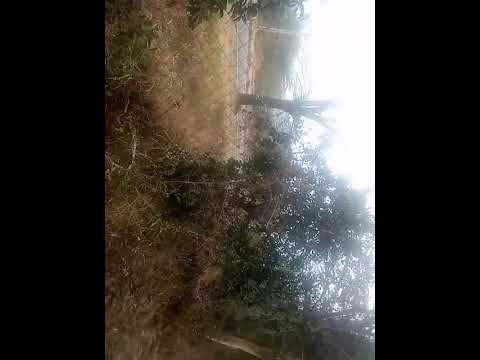 A Walk Around Machakos DICECE MercyNguku The World Traveller Worshipsongrewritten