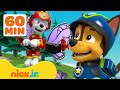 Paw patrol forest rescues  adventures w chase and marshall  1 hour compilation  nick jr