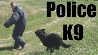 Getting Bit By A Police K9